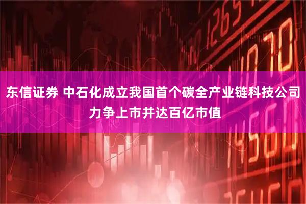 东信证券 中石化成立我国首个碳全产业链科技公司 力争上市并达百亿市值